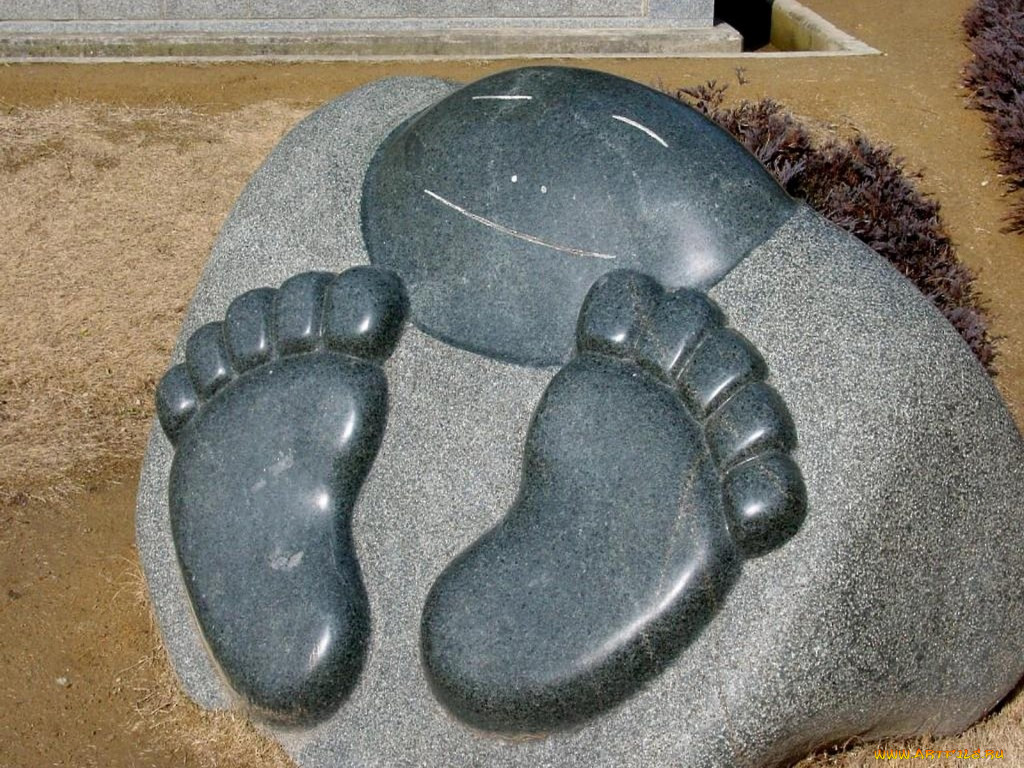 , , , , 